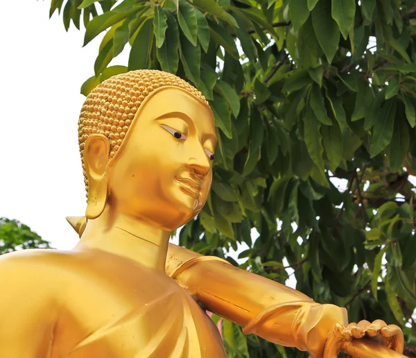 Статуя Будды Пилигрим Стоковое Фото