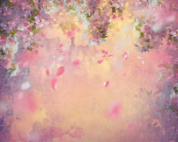 Картина сакуры весна Стоковая Картинка