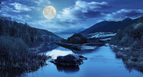 Лесная река с камнями и трава ночью — стоковое фото