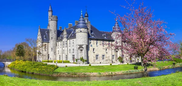 Сказочный замок. Бельгия, Marnix Лицензионные Стоковые Изображения