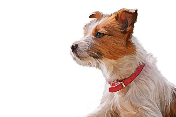 Рисунок собаки Джек Рассел терьер прогулки на природе — стоковое фото