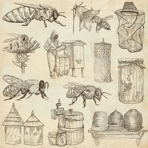 Пчелы, пчеловодства и мед - рука рисованные иллюстрации Лицензионные Стоковые Изображения