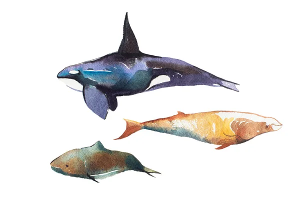 Акварель киты рисованной Лицензионные Стоковые Изображения
