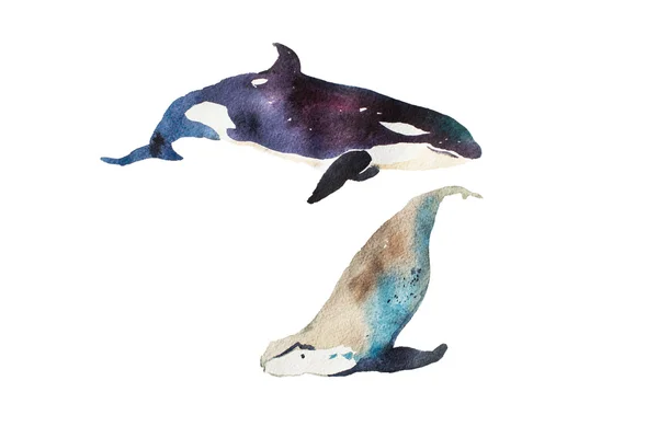Акварель киты рисованной Стоковое Фото