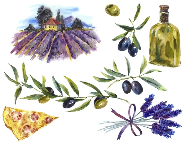 Набор акварели ветвей оливкового масла, лаванда, пейзаж — стоковое фото