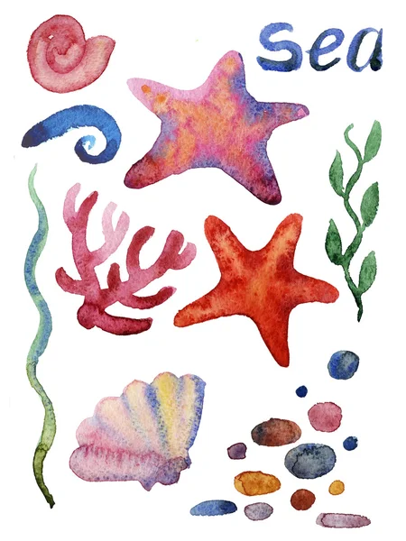 Различные морские раковины, кораллы и морские звезды — стоковое фото