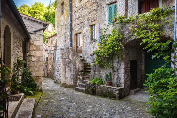 Весенние улицы Старого города Тосканы. Красочные цветы Блум — стоковое фото