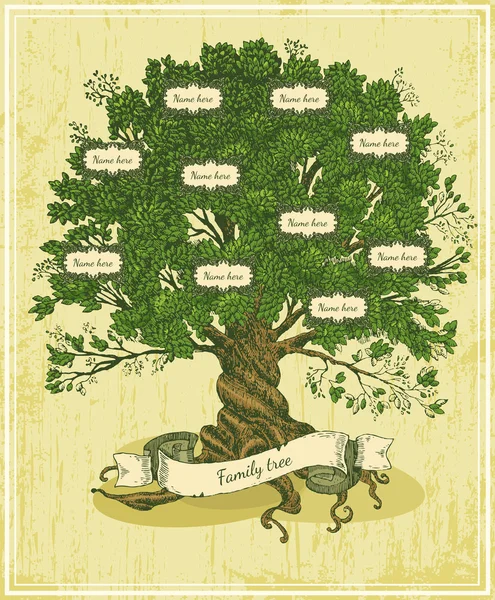 Генеалогическое дерево на фоне старых бумаги — стоковый вектор