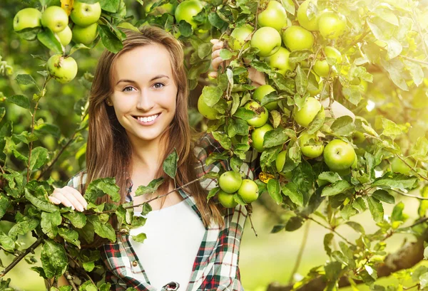 Женщина в саду яблонь — стоковое фото