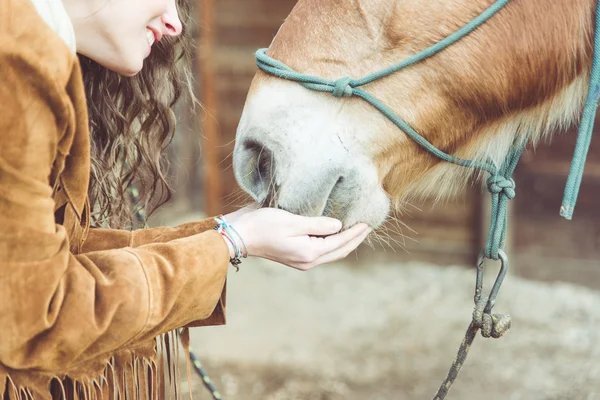 Женщина, ласки ее лошадь — стоковое фото