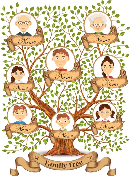 Генеалогическое дерево с портретами членов семьи векторные иллюстрации — стоковый вектор