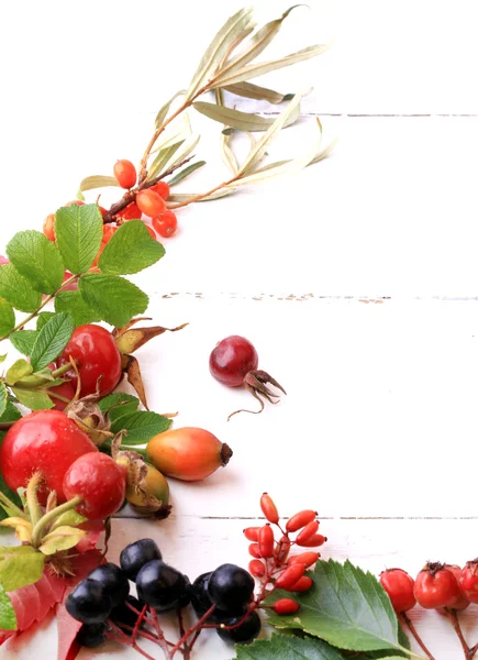 Осенние ягоды для чая на белый фон деревянные Шиповник Роуэн боярышника море облепихи черный черноплодной рябины — стоковое фото