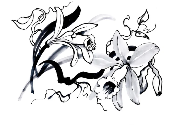 Эскиз с цветами лилии Лицензионные Стоковые Фото