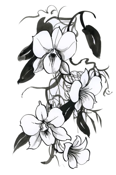 Эскиз с цветами орхидеи Стоковое Фото