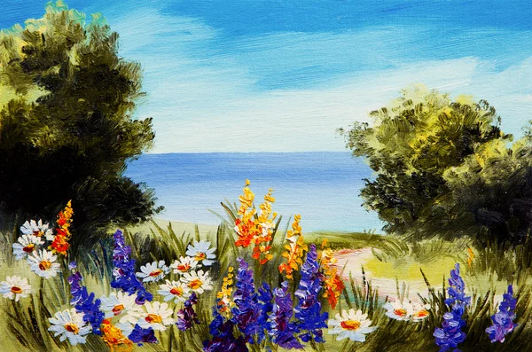 Цветы живописи около моря, поля ромашек — стоковое фото