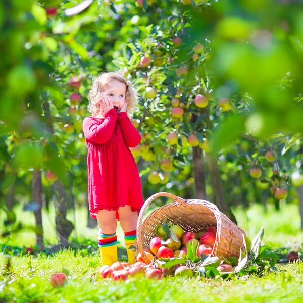 Маленькая девочка рядом с apple корзина tpped на его стороне — стоковое фото