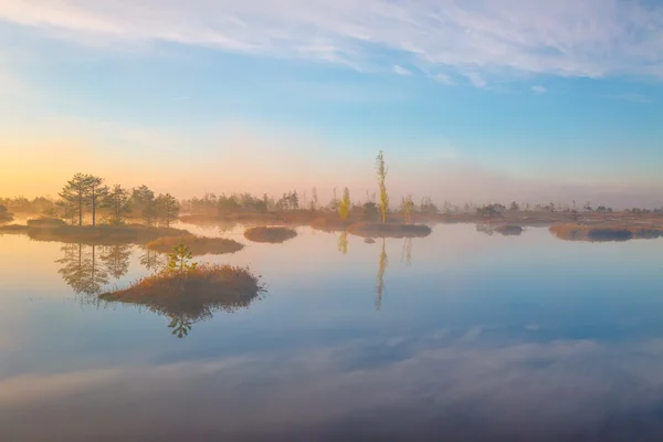 Утро в болото Ельня — стоковое фото