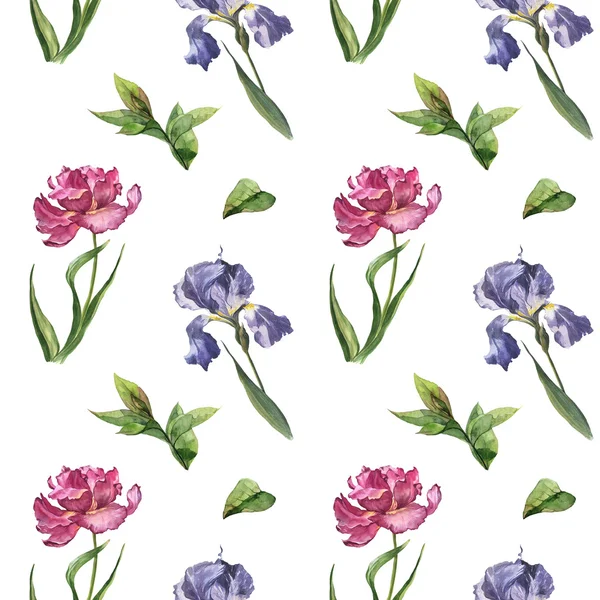 Акварель, красочные весенние и летние цветы бесшовный паттерн с Розовый тюльпан и Ирис — стоковое фото