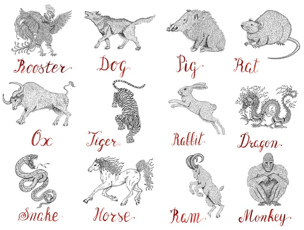 Набор животных китайского зодиака Астрология Стоковое Изображение