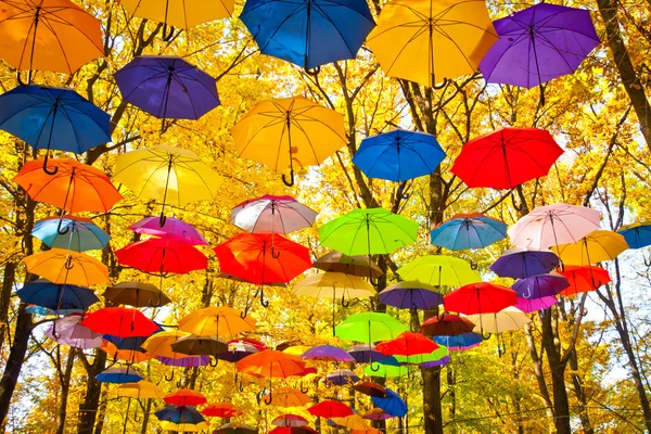 Осенние зонтики в небе — стоковое фото