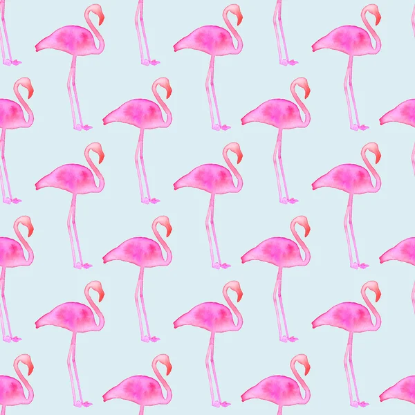 Розовый фламинго. Бесшовный фон с экзотическими птицами. Рисованной оригинальных животных фон Стоковое Фото