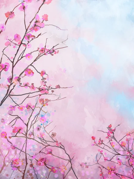 Картина розовый японская вишня - Сакура цветочный фон цветение весной Лицензионные Стоковые Изображения