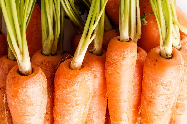 Пучок моркови, закрыть вверх и макросов — стоковое фото