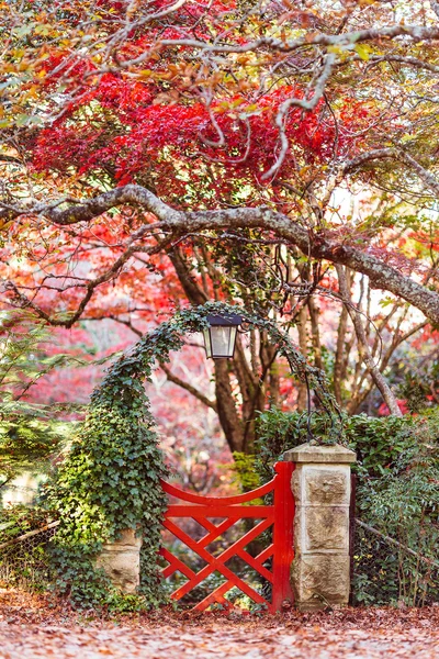 Осенний японский сад с красными воротами — стоковое фото