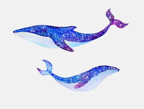 Акварель китов с звездного неба Стоковое Фото