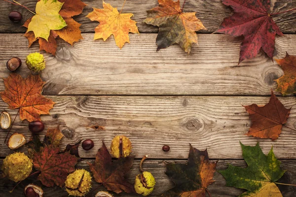 Рама из каштанов и осенних листьев клена с эффектом пленка фильтра горизонтальной — стоковое фото