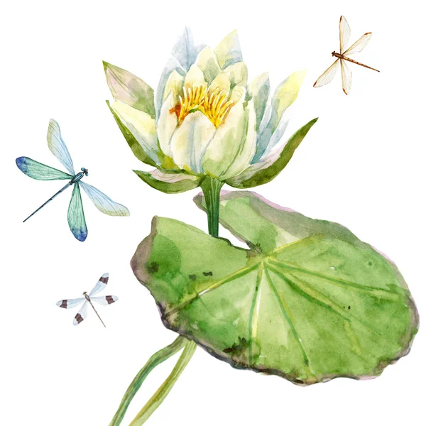 Цветок лотоса акварель Лицензионные Стоковые Фото