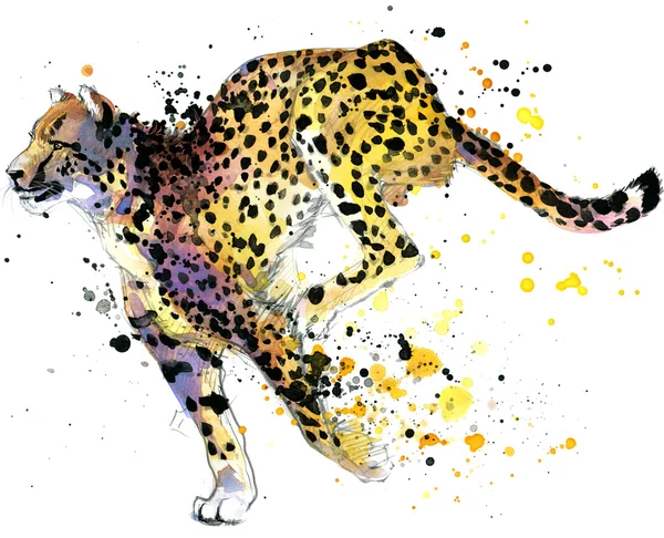 Cheetah. Гепард футболочку графика. Гепард иллюстрация с Всплеск акварель текстурированный фон. Гепард акварель иллюстрации для моды печать, плакат, текстиль, дизайн одежды Стоковая Картинка