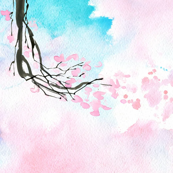 Ветвь вишневого цвета Лицензионные Стоковые Изображения