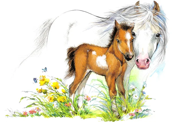 Акварель лошадь мама и малыш Стоковая Картинка