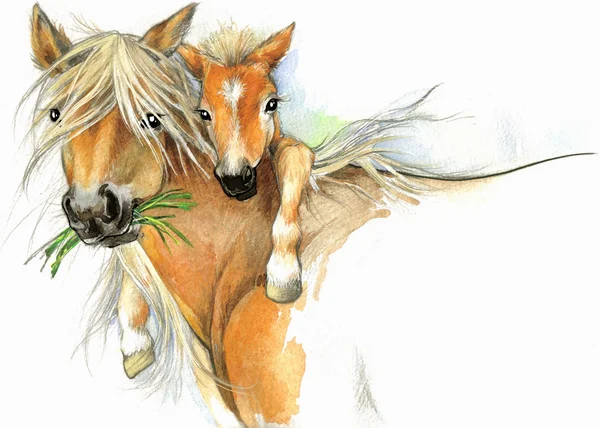 Акварель лошадь мама и малыш Лицензионные Стоковые Изображения