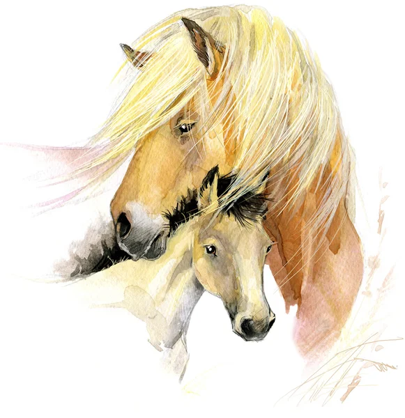 Акварель лошадь мама и малыш Стоковое Изображение