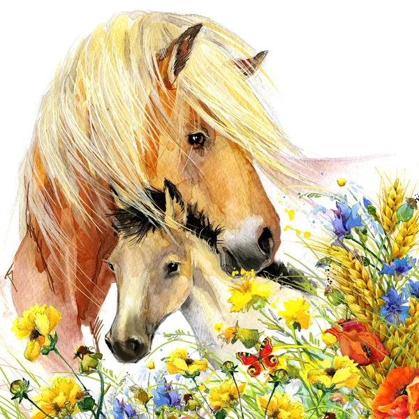 Лошадь и жеребенок с луговыми цветами. Акварель Лицензионные Стоковые Фото