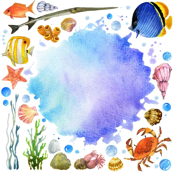 Экзотические рыбы, коралловых рифов, водоросли, необычной морской фауны, морские раковины, анемоны и морская тема оформления. Подводный мир набор. Акварельные иллюстрации для детей — стоковое фото