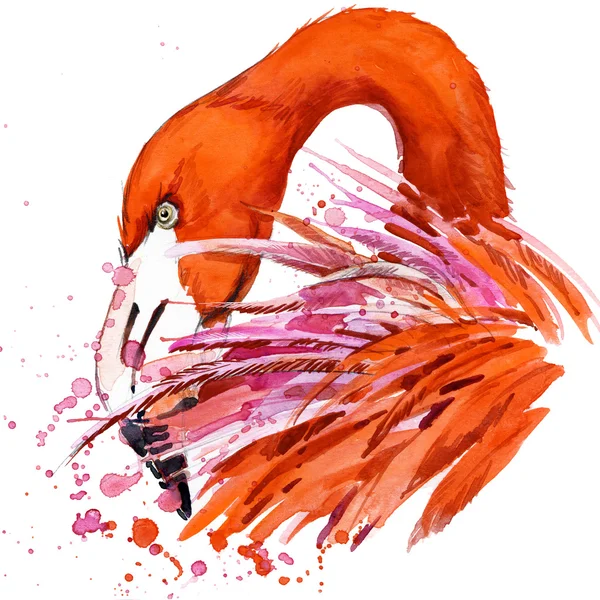 Flamingo футболка графика, африканская птица фламинго иллюстрация с Всплеск акварель текстурированный фон. необычной иллюстрации акварель фламинго моды печать, плакат для текстиля, дизайн одежды Лицензионные Стоковые Фото