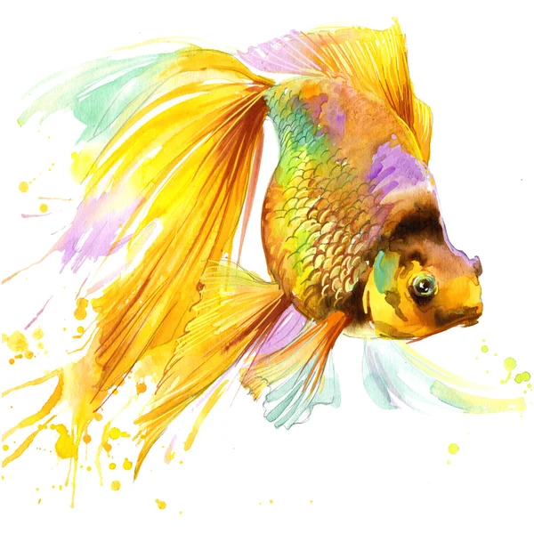 Золотая Рыба Графики футболку, Золотая рыбка иллюстрации с всплеск акварель текстурированный фон. Мода Иллюстрация акварель Золотая рыбка печать, плакат для текстильных изделий, Дизайн моды Стоковое Фото