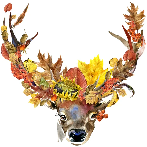 Лесных животных косули осенью, красочная природа листья фон, фрукты, ягоды, грибы, желтые листья, плоды шиповника на черном фоне. акварельный рисунок — стоковое фото