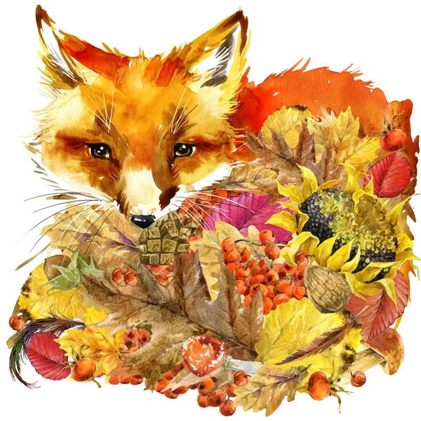 Лесных животных foxautumn природа красочные листья фон, фрукты, ягоды, грибы, желтые листья, плоды шиповника на черном фоне. акварельный рисунок Стоковое Изображение