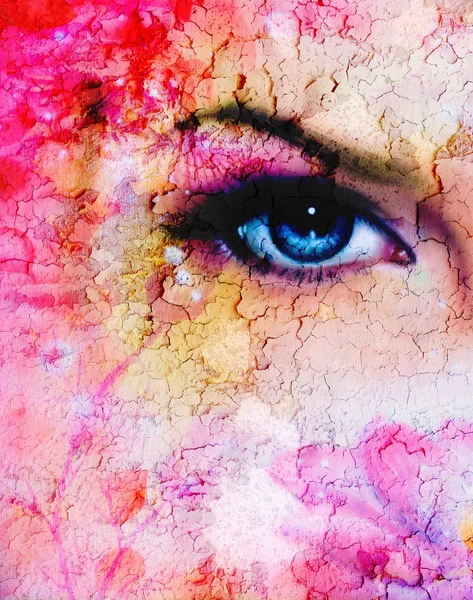 Синий женщин глаз сиял до очаровательной сзади цветок лотоса цветущих роз и треск фон Лицензионные Стоковые Фото