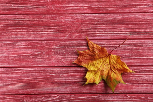 Сухой Осенний лист Стоковая Картинка