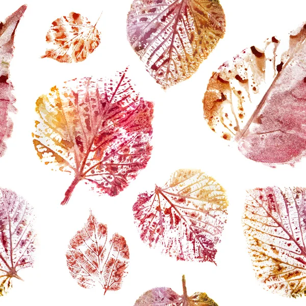 Акварель фон. Осенние листья на белом фоне — стоковое фото