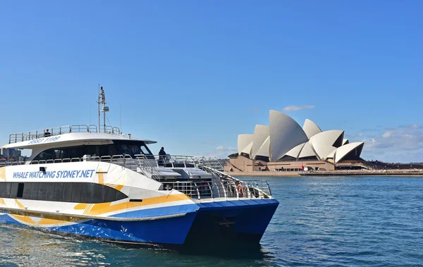 Австралия-Sydney,2015.Modern судно для наблюдения за китами в Сиднее Стоковое Изображение