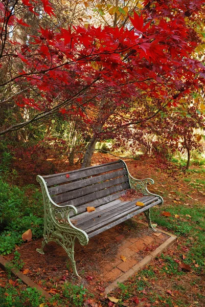 Один Осенний парк скамейка — стоковое фото