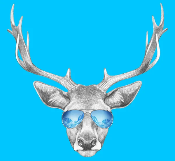 Портрет оленей с зеркалом солнцезащитные очки — стоковое фото
