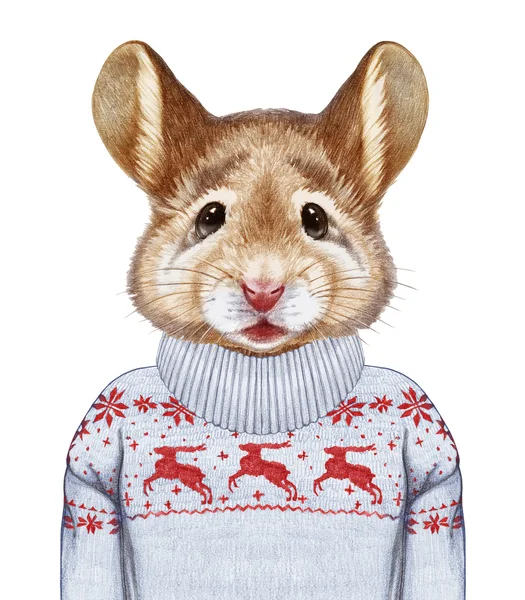 Портрет мыши в свитер — стоковое фото