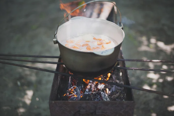 Казан с рыбный суп — стоковое фото